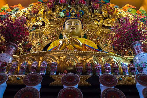 Kagyu Tibetan Monastery, Sarnath, Varanasi, Uttar Pradesh, India
