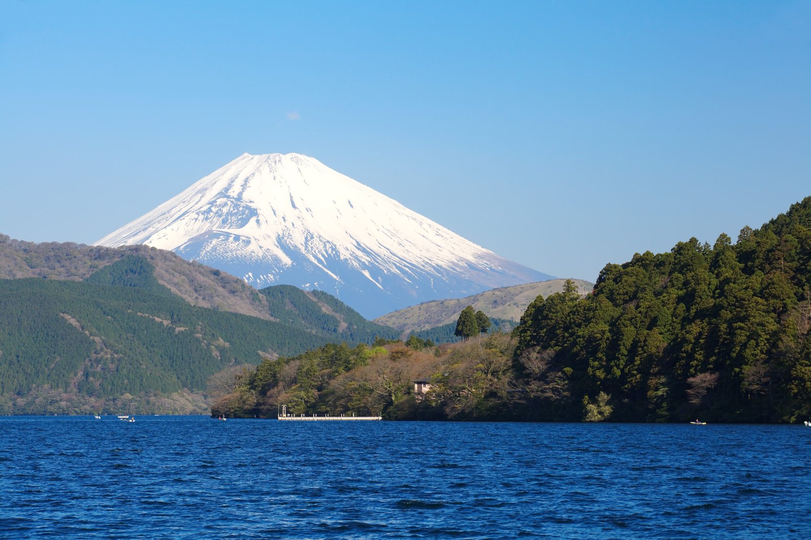Mountain Fuji in spring