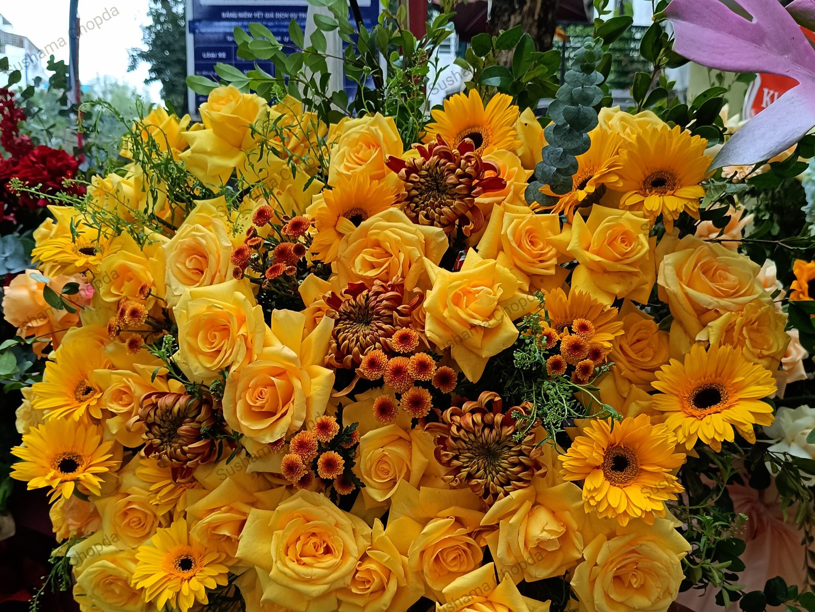 IMG_20260101_162524